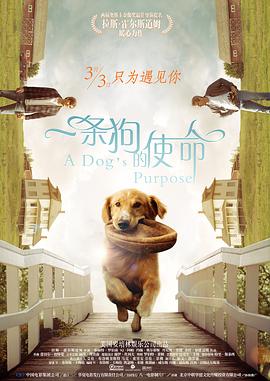 欧美大荫蒂xxx
